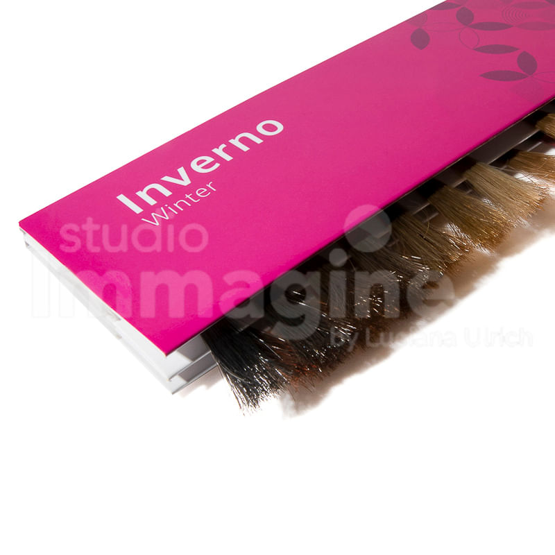 Inverno2